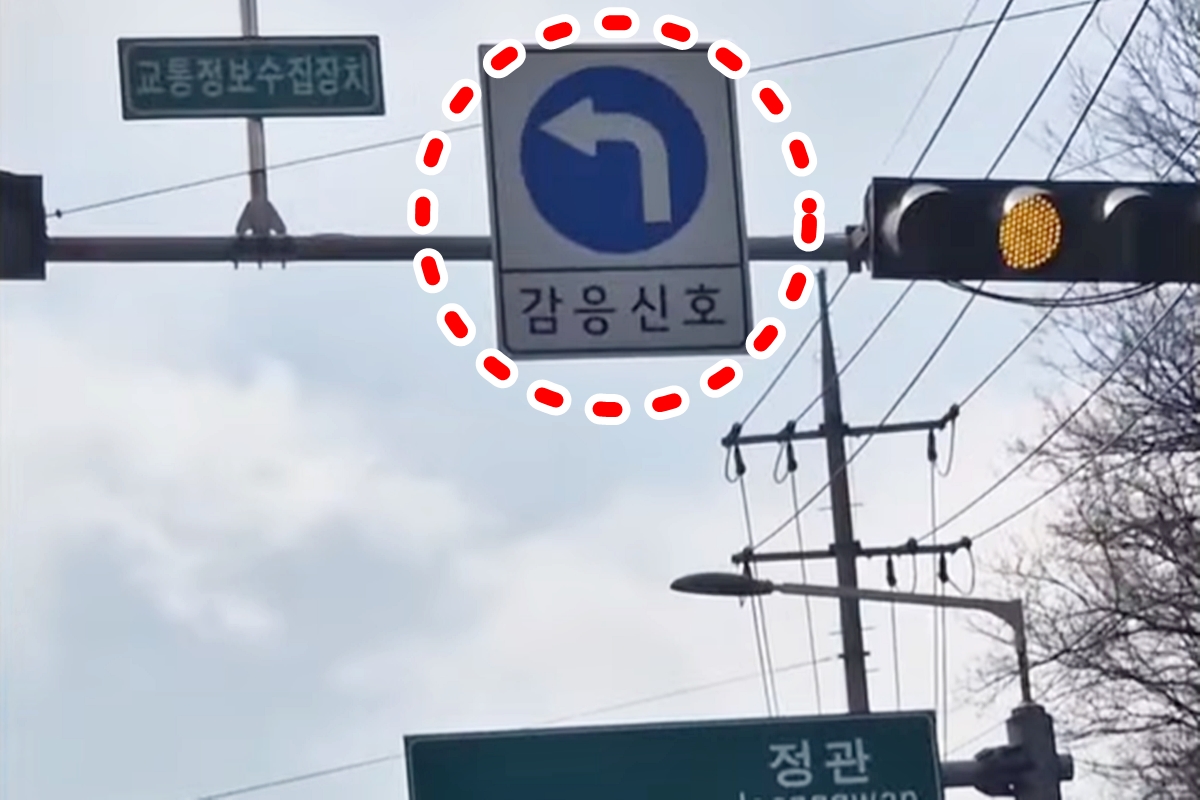 사진 출처 = 유튜브 채널 ‘운전마법사’