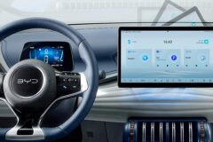 사진 출처 = 'BYD'